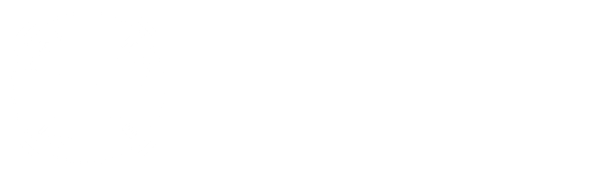 Iboga Wellness Institute