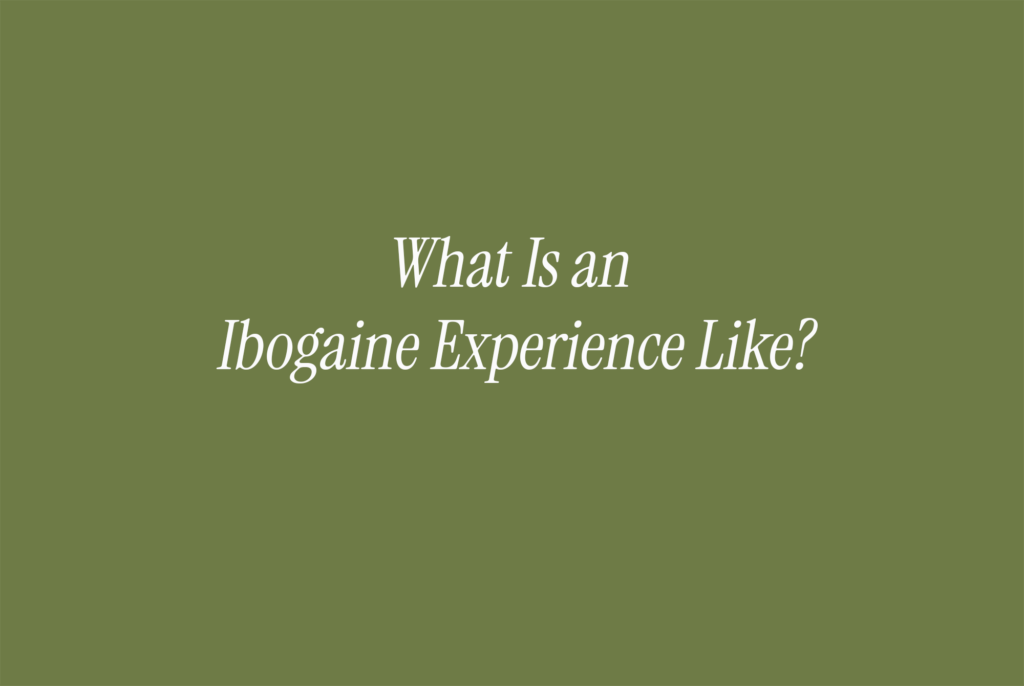 What Is an Ibogaine Experience Like