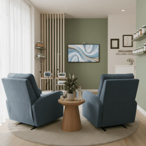 professional ibogaine treatment environment